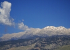  ALN0864